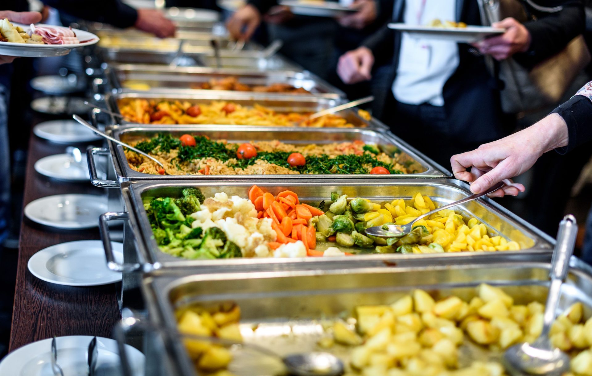 About Sani Snap Handle LLC | Clean, Safe Buffet Dining
